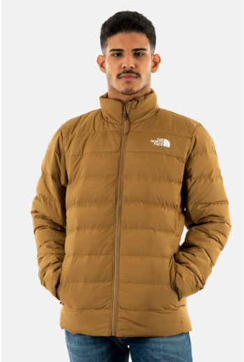 Vestes The North Face homme