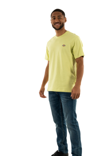 Tee shirt dickies mapleton h141 pale green