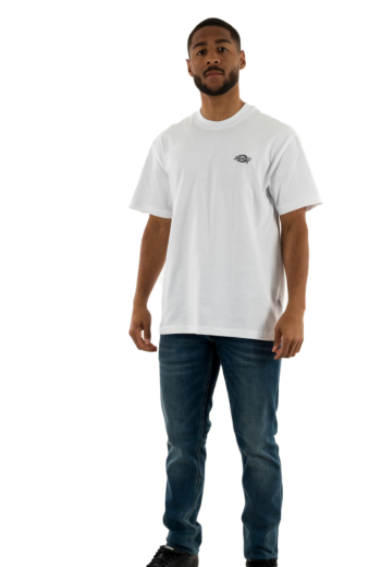 Tee shirt dickies summerdale whx1 white