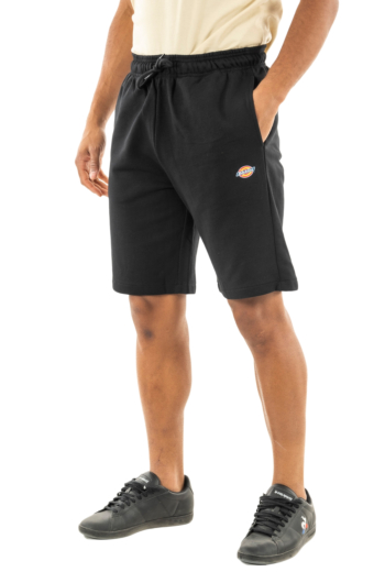 Shorts bermudas dickies mapleton blk1 black