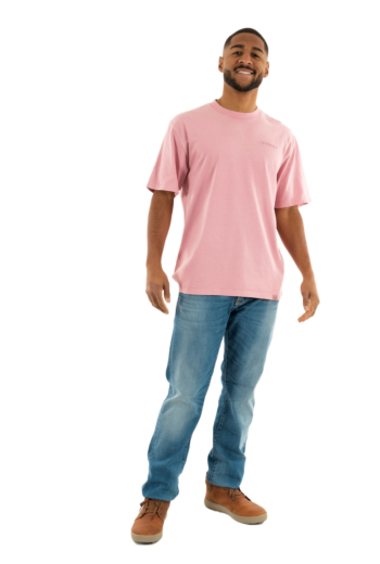 Tee shirt dickies plentywood k391 lilas