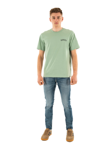 Tee shirt dickies snake k361 iceberg green