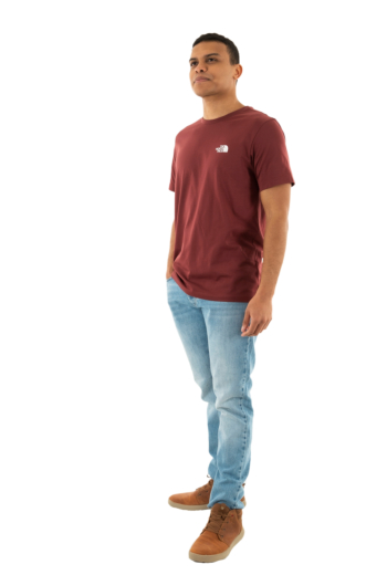 Tee shirt the north face simple dome 0vo sumac