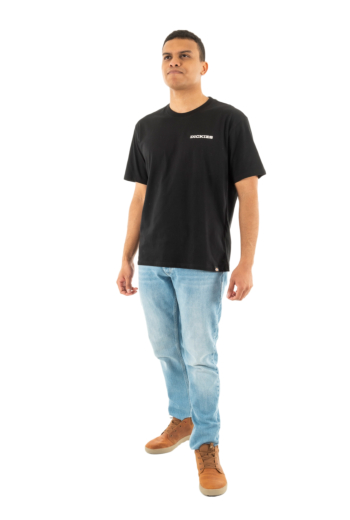 Tee shirt dickies graphic blk1 black